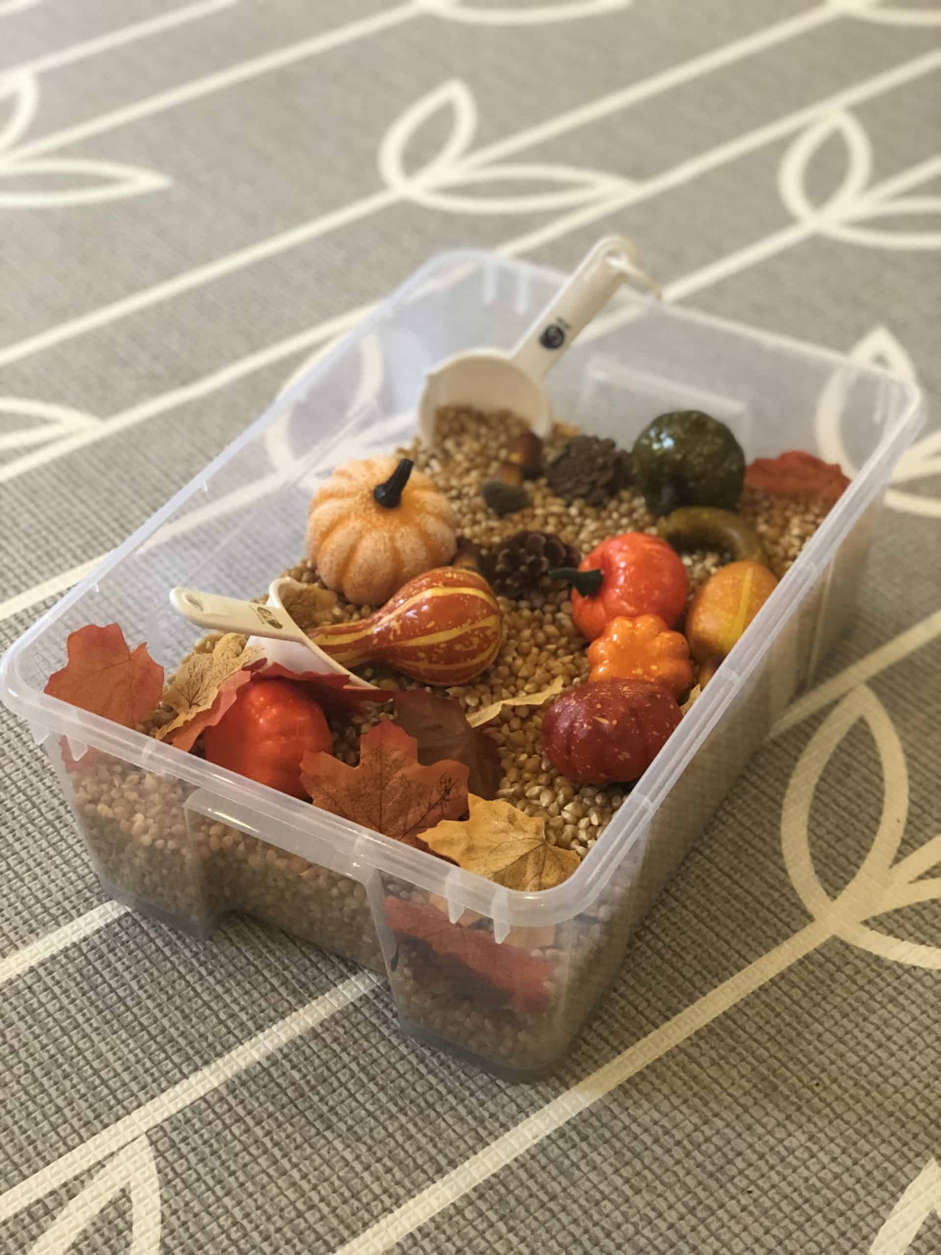 Sensory bin