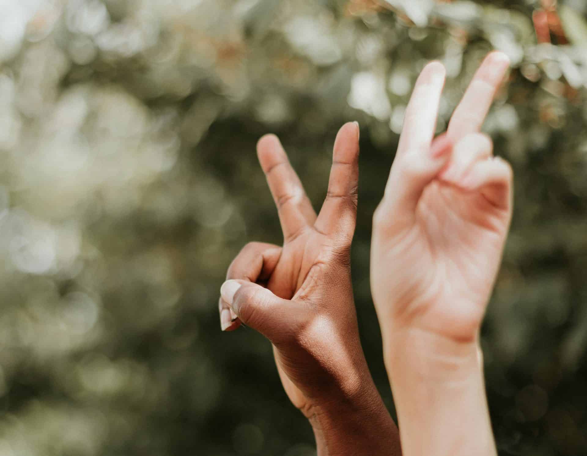 Priscilla du preez wf3p6jwdw6q unsplash
